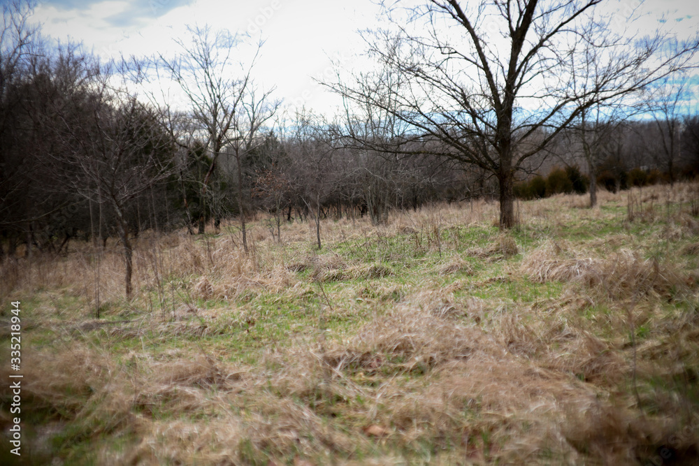 Obraz premium Nature