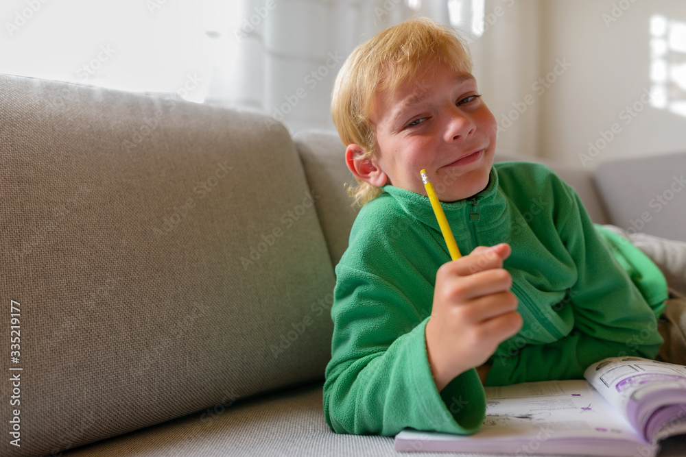 Happy young handsome boy studying on the couch at home