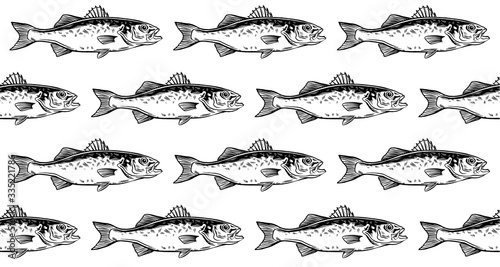 Black and white sea bass Seamless Pattern. Lubina. Dicentrarchus labras