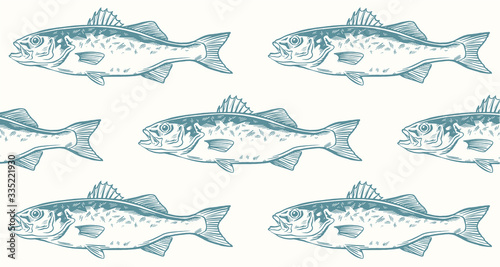 Color bass Seamless Pattern. Lubina. Dicentrarchus labras