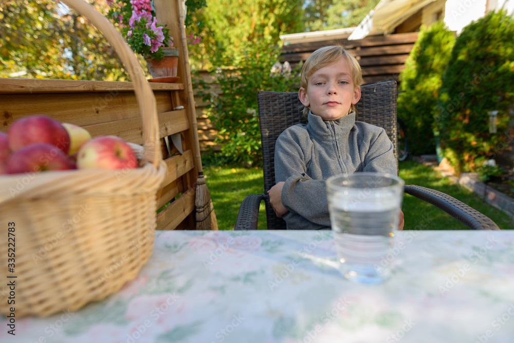Fototapeta premium Young handsome boy with basket of apples sitting in the backyard