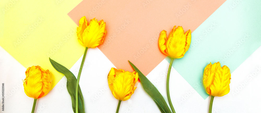 bouquet of yellow tulips on a bright background
