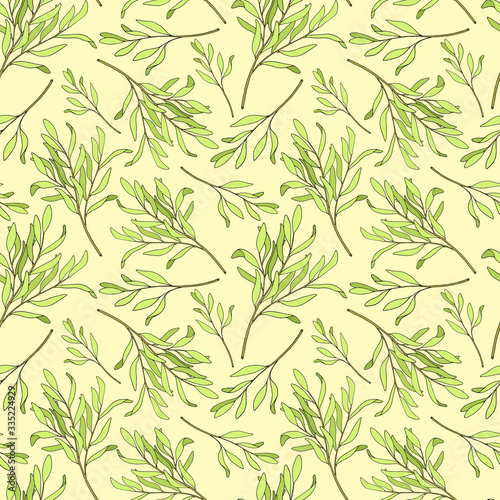 Tea tree leaves seamless pattern. Hand drawn vector illustration of Melaleuca. Green medicinal plant isolated on pastel yellow background. Herbs for cosmetics  package  textile  essential oil.