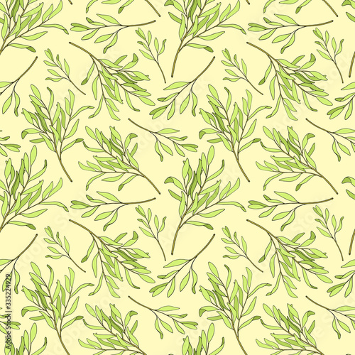 Tea tree leaves seamless pattern. Hand drawn vector illustration of Melaleuca. Green medicinal plant isolated on pastel yellow background. Herbs for cosmetics, package, textile, essential oil.