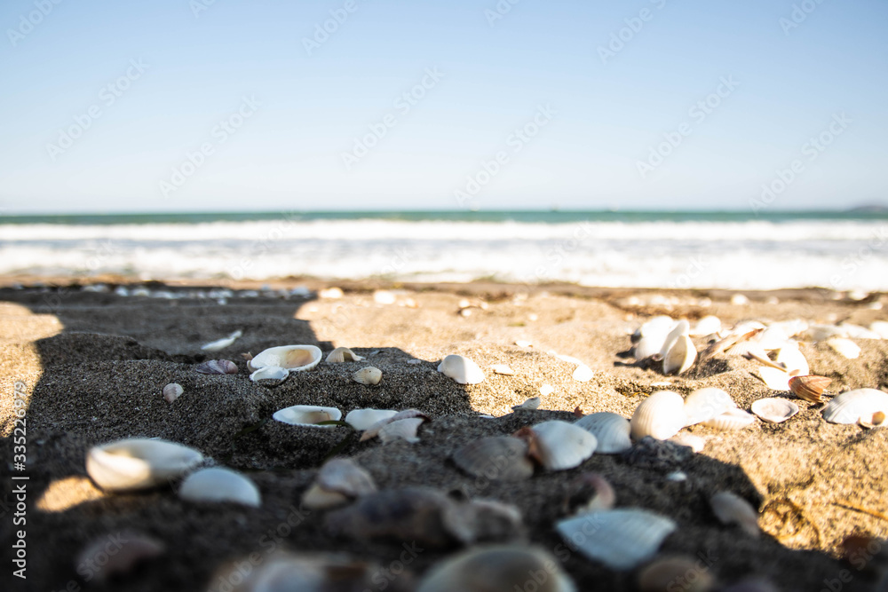 Burgas