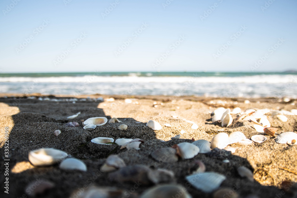 Burgas