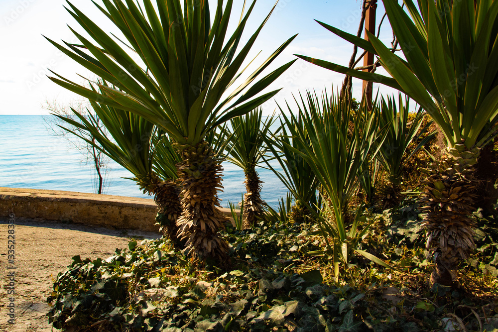 Sozopol