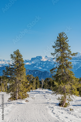  Verschneite Winterlandschaft im Berner Oberland