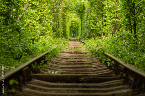 Foto Real natural wonder love tunnel created from trees along the railway Ukraine, Kl