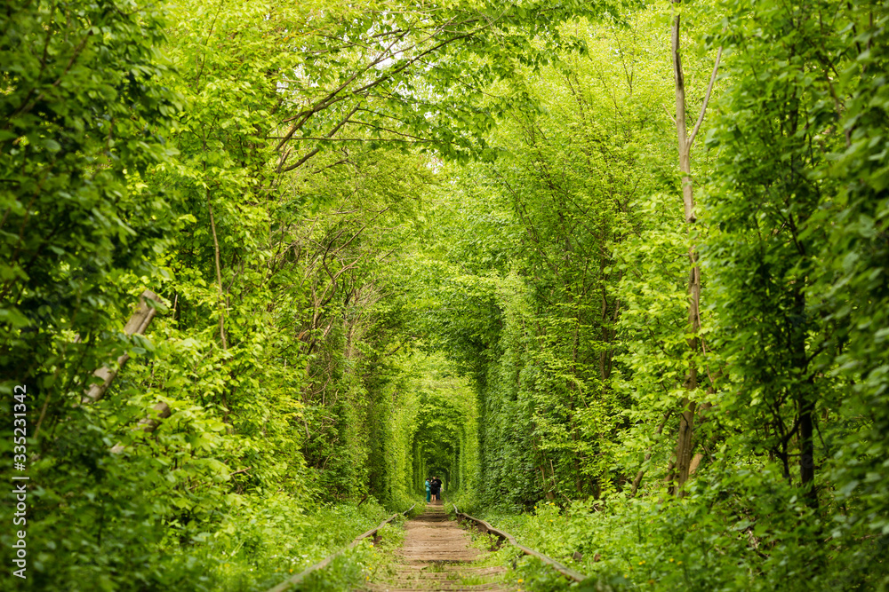 Real natural wonder love tunnel created from trees along the railway  Ukraine, Klevan Stock Photo | Adobe Stock