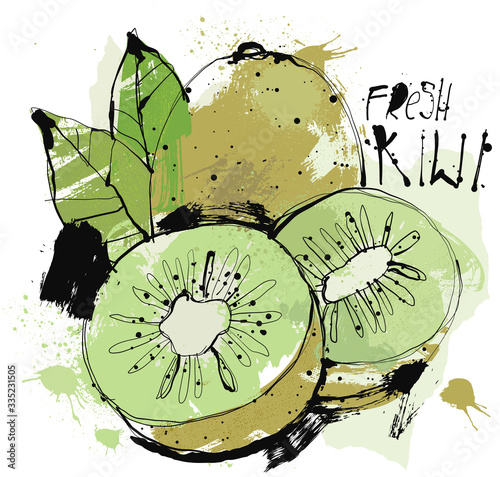 Fresh Kiwi Sketch