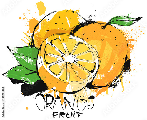 Orange Fruit Sketch isolated