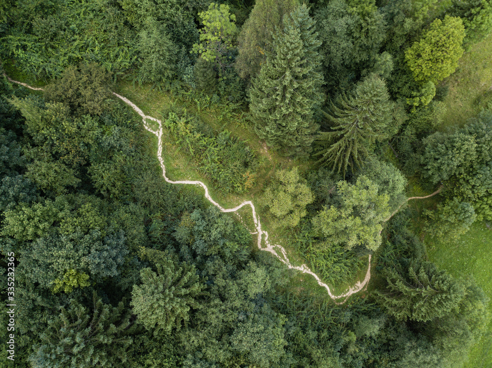 Dirt track through mountains and forest captured from above