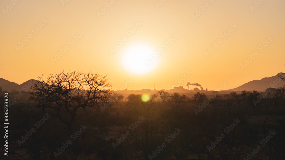 sunrise in South African savannah