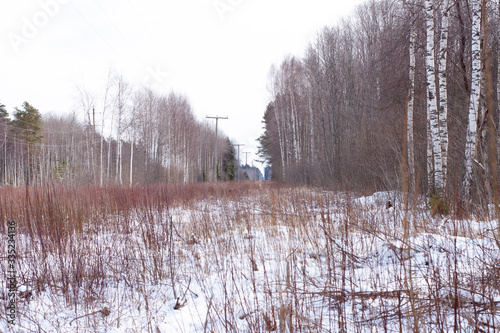 a clearing with a power line in the winter forest © Владимир Сидоров
