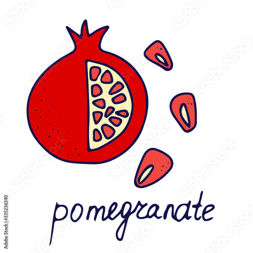 Hand drawn vector isolated food icon. Color fill illustration of fruit. Pomegranate icon. 