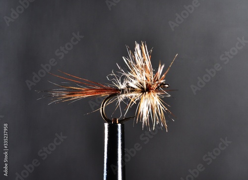Tiny brown and white trout fly