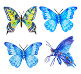 Set of butterflies, watercolor illustration. Hand drawn. Template.