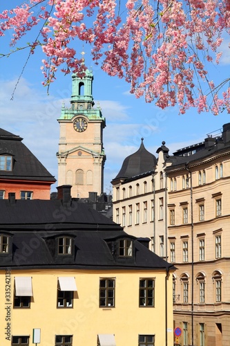 Photography Gamla Stan, Stockholm city, Sweden. Cherry blossoms spring time.