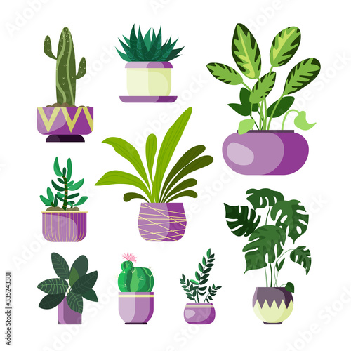 Flowers in pots set. Collection of houseplants. Can be used for topics like decoration, gardening, floriculture