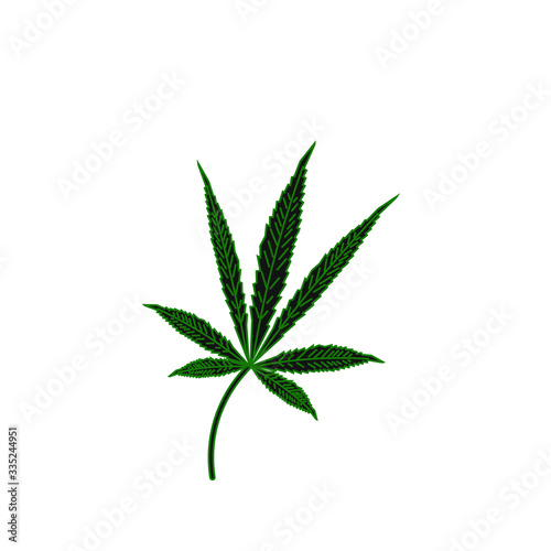 cannabis leaves on white background