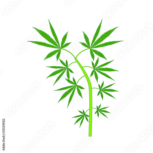 Fototapeta Naklejka Na Ścianę i Meble -  cannabis leaves on white background