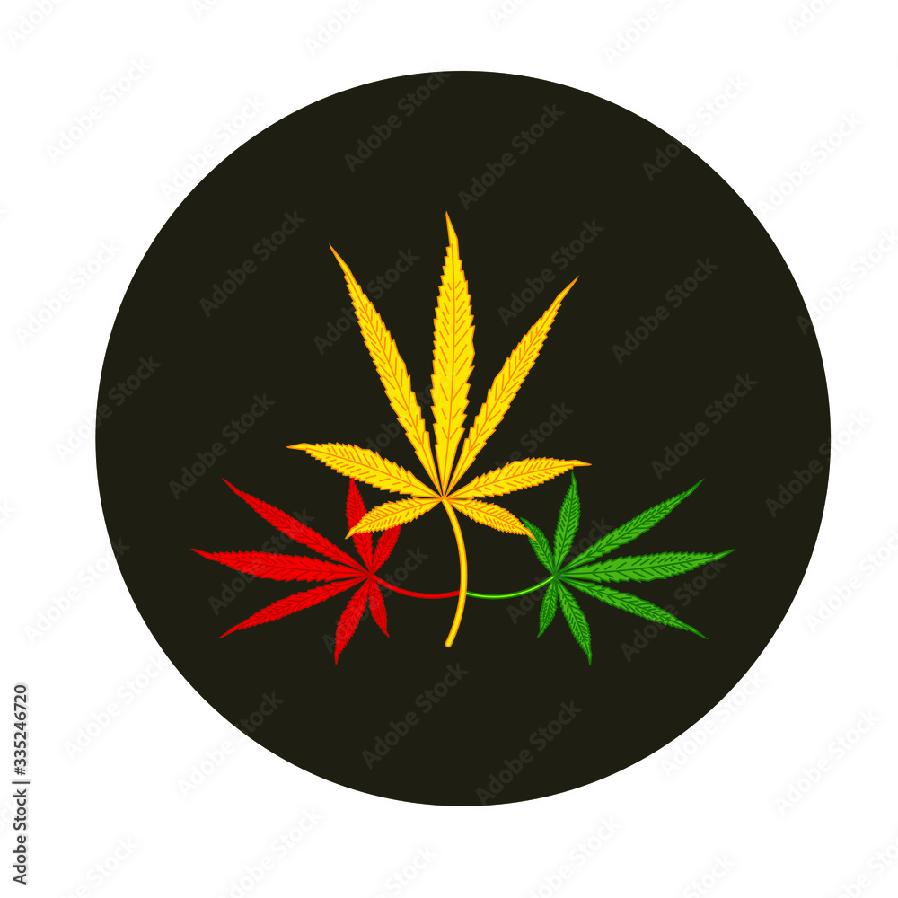cannabis leaves on white background cannabis leaves on white background