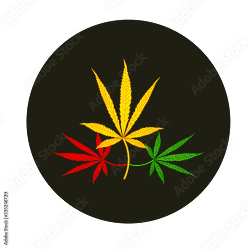 cannabis leaves on white background