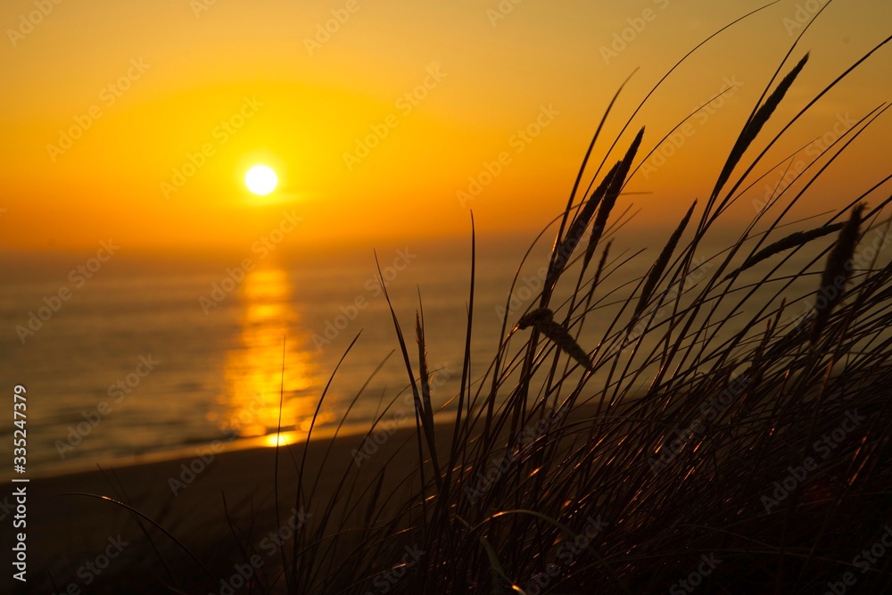 Naklejka premium Holland