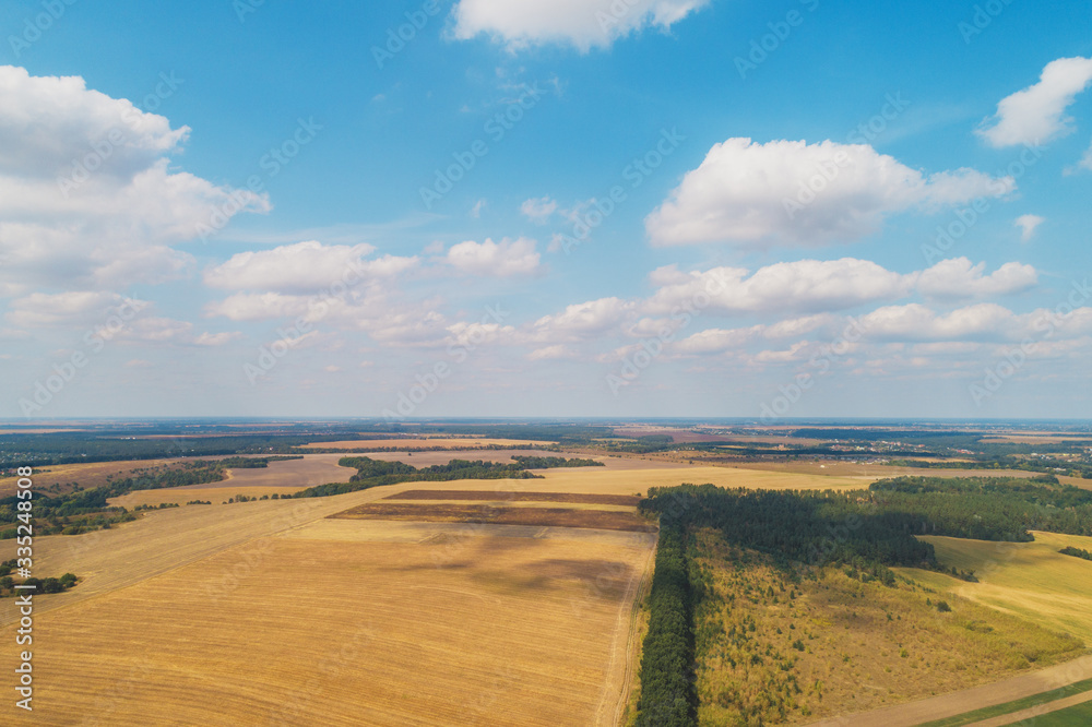 Summer rural landscape. Aerial view. View of wheat fields with beautiful sky
