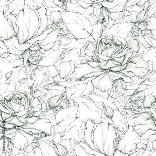 Seamless graphic pattern of beautiful roses. Pensil drawing. Vintage floral background.