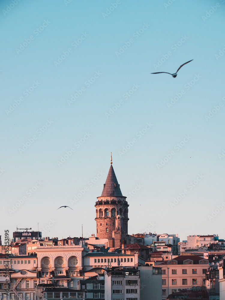 Fototapeta premium Galata tower in Istanbul during sunset