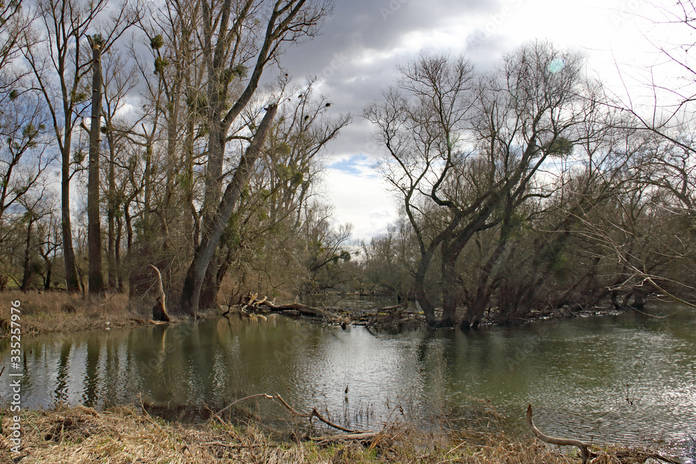 Fototapeta premium Rheinaue bei Hochwasser