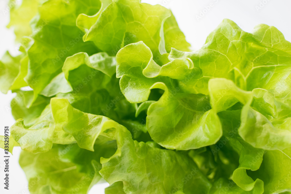 Lettuce on a grey background. Meal close up photo. Lettuce on a grey background. Meal close up photo.