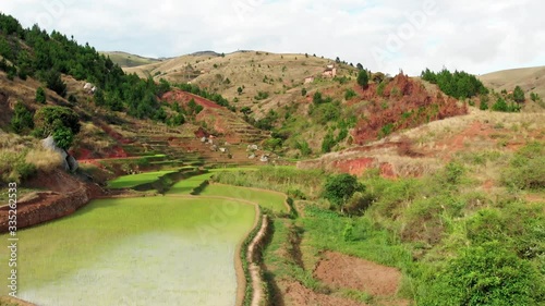 Drone footage over a paddy field with muddy river near Ambositra Madagascar photo