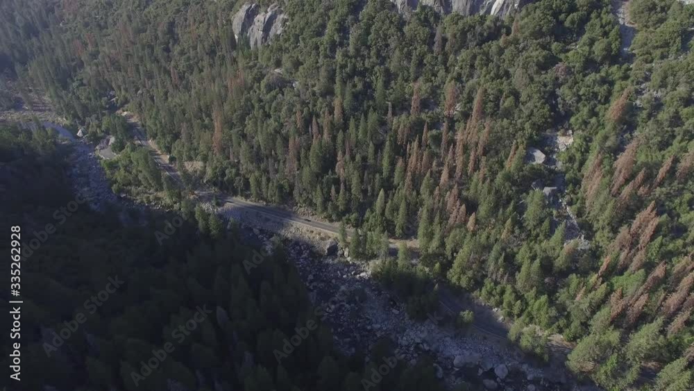 Aerial shot. Flight over Old Oak. Beautiful landscape of wonderful mountains. Amazing mountains and forest. Shooting in 4K video. Cinematic Aerial Footage of Old Oak, Yosemite California USA Aerial shot. Flight over Old Oak. Beautiful landscape of wonderful mountains. Amazing mountains and forest. Shooting in 4K video. Cinematic Aerial Footage of Old Oak, Yosemite California USA