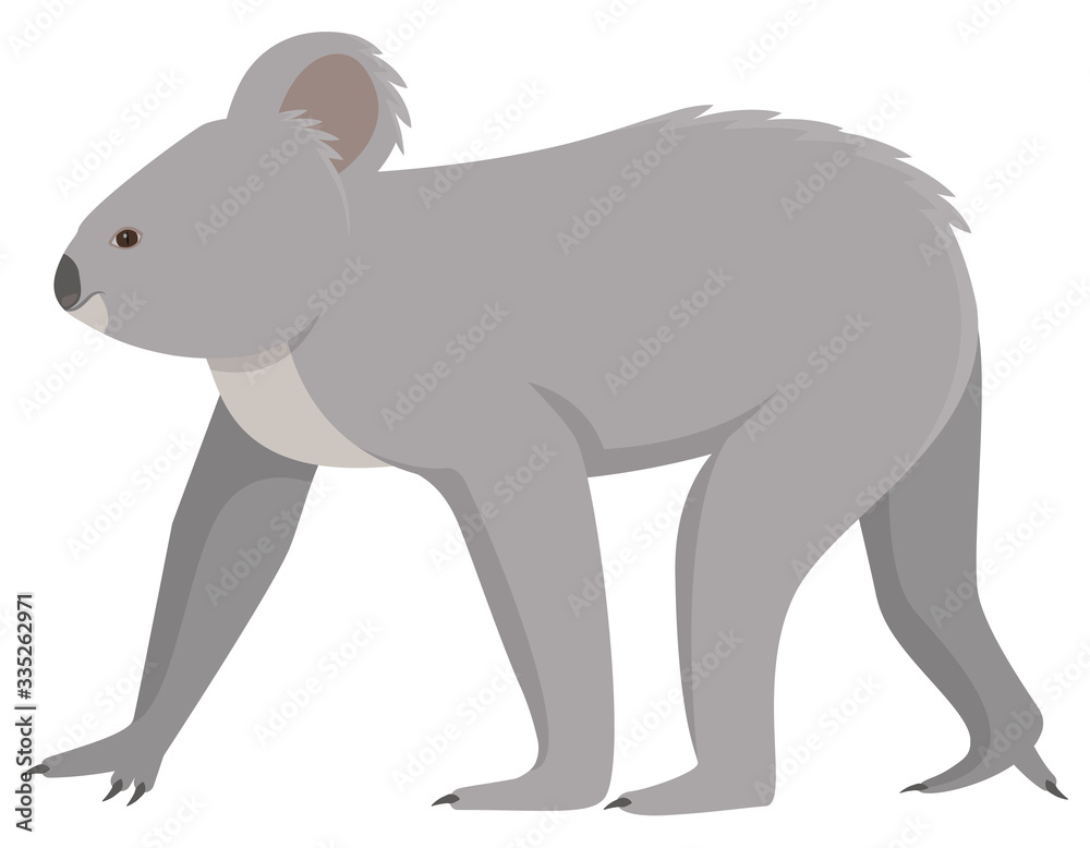 Obraz premium Walking adult koala. Cute animal in cartoon style.
