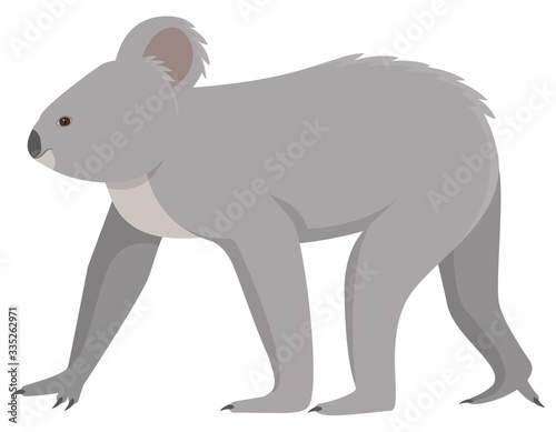 Walking adult koala. Cute animal in cartoon style.