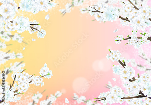 Cherry blossom illustration in full bloom against yellow and pink pastel colors.