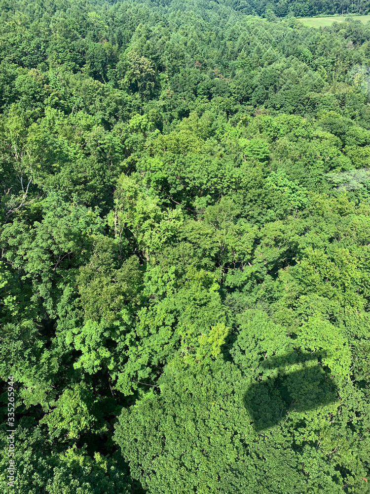 Ropeway (Shadow) and green forest (Usuzan Ropeway, Sobetsu, Iburi, Hokkaido, Japan) Ropeway (Shadow) and green forest (Usuzan Ropeway, Sobetsu, Iburi, Hokkaido, Japan)
