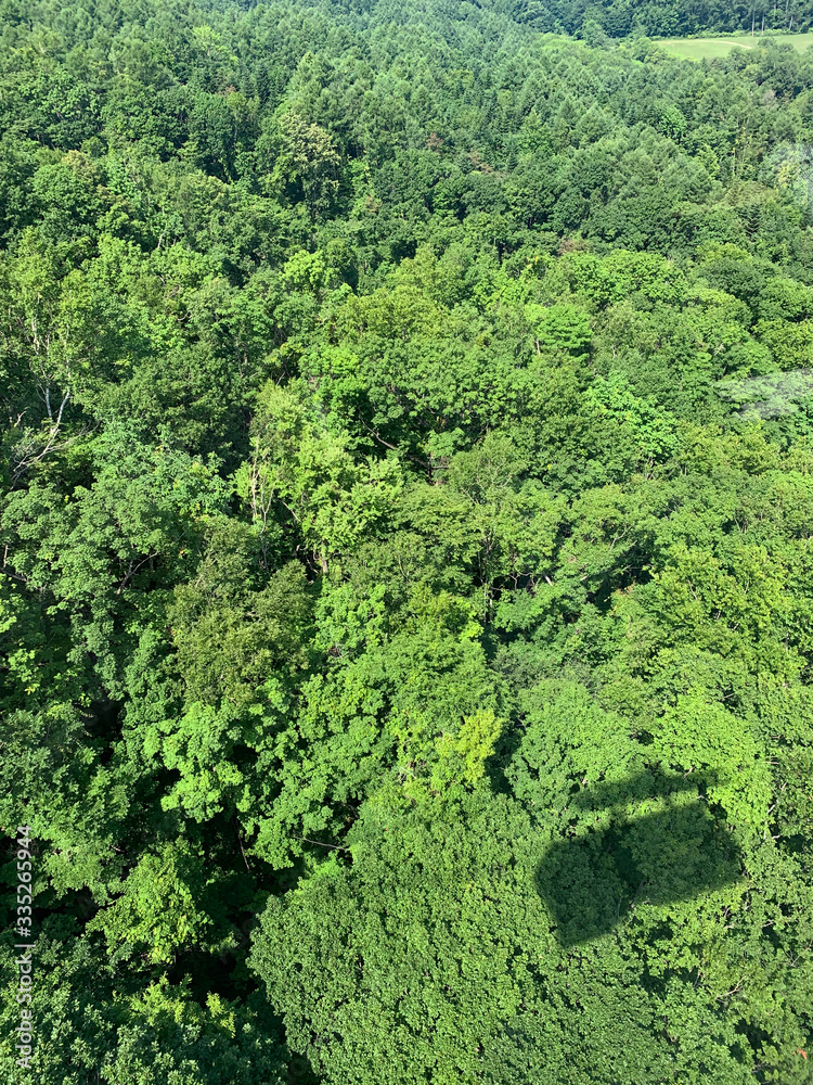 Ropeway (Shadow) and green forest (Usuzan Ropeway, Sobetsu, Iburi, Hokkaido, Japan)