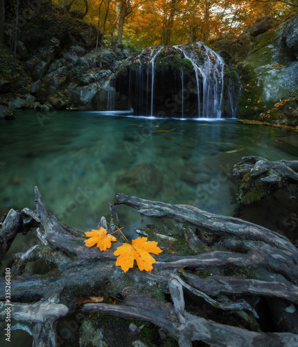 Waterfall and two yellow leaves near it