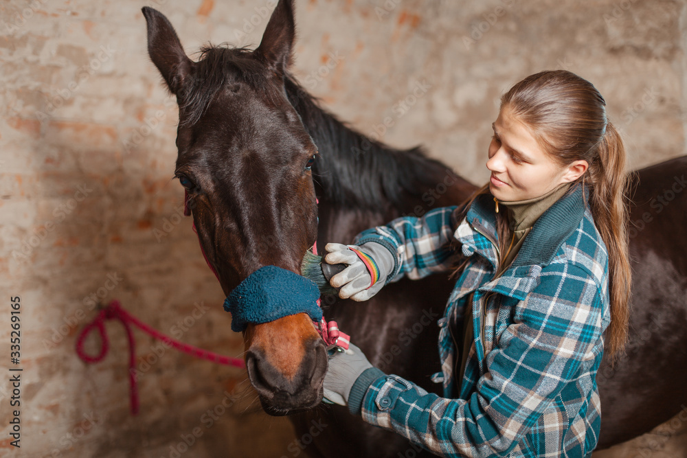 Horse trowel deals