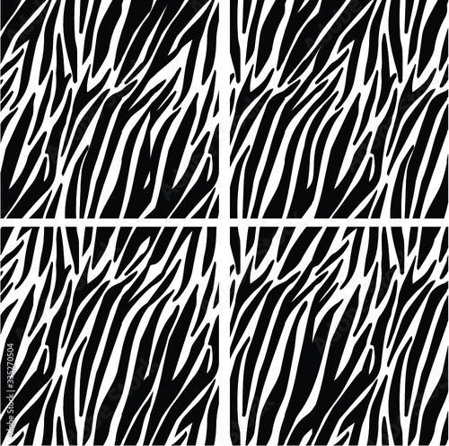 Zebra fur background. Animal skin print  tiger stripes. Abstract pattern  line texture fabric.  Black and white - equidae family vector.
