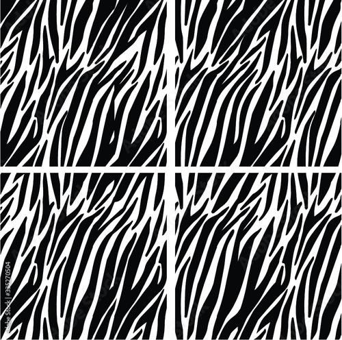 Zebra fur background. Animal skin print, tiger stripes. Abstract pattern, line texture fabric.  Black and white - equidae family vector.
