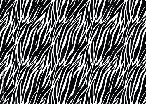 Zebra fur background. Animal skin print, tiger stripes. Abstract pattern, line texture fabric.  Black and white - equidae family vector.