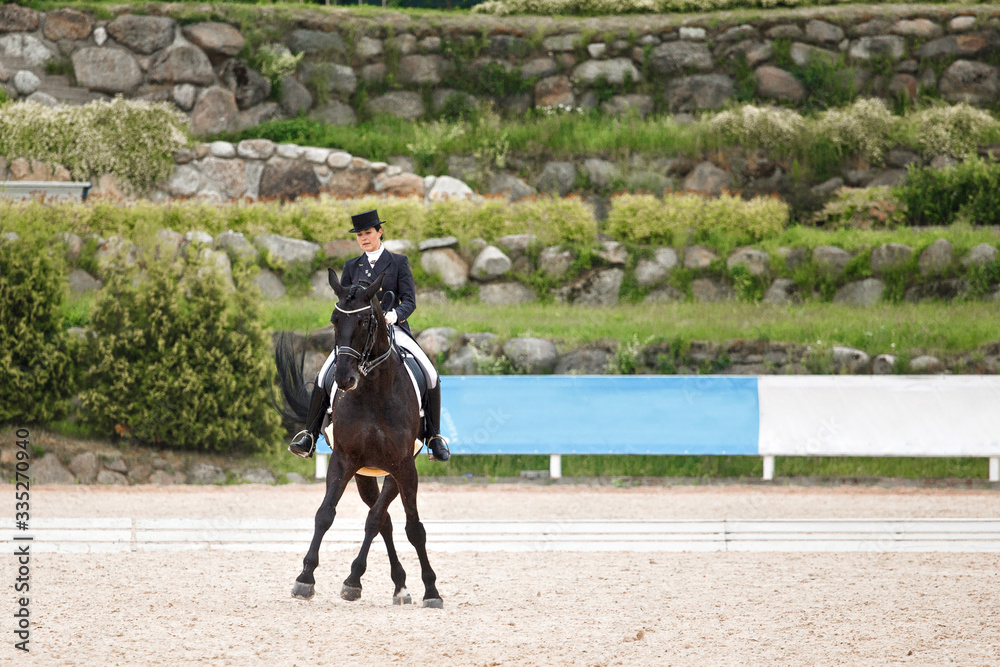 Equestrian sport - dressage Equestrian sport - dressage
