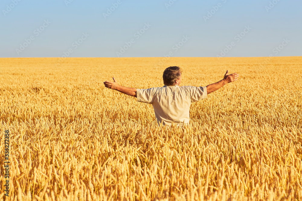 Satisfied mature farmer touching with care his ripe wheat field