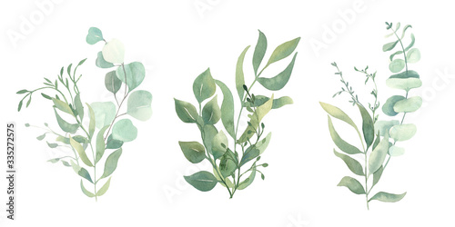 Watercolor green eucalyptus, olive  leaves. Watercolor floral illustration collection  - green leaf branches set for wedding stationary, wallpapers, background,  greetings. 