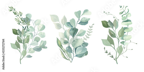 Watercolor green eucalyptus  olive  leaves. Watercolor floral illustration collection  - green leaf branches set for wedding stationary  wallpapers  background   greetings. 